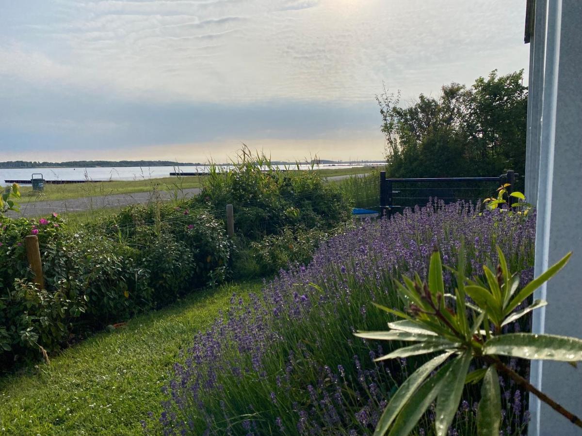 Villa Veerse Meer Kamperland Exteriör bild